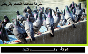 شركة مكافحة حمام بالرياض
