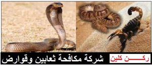 شركة مكافحة حشرات بجازان