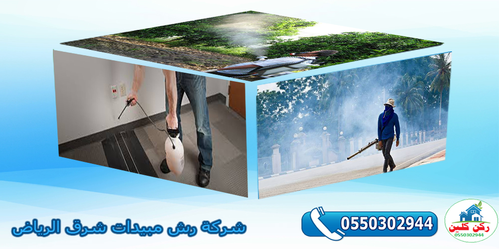شركة رش مبيدات شرق الرياض