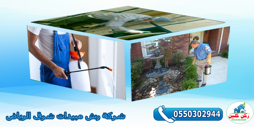 شركة رش مبيدات شرق الرياض