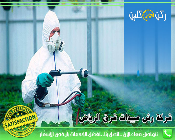 شركة رش مبيدات شرق الرياض