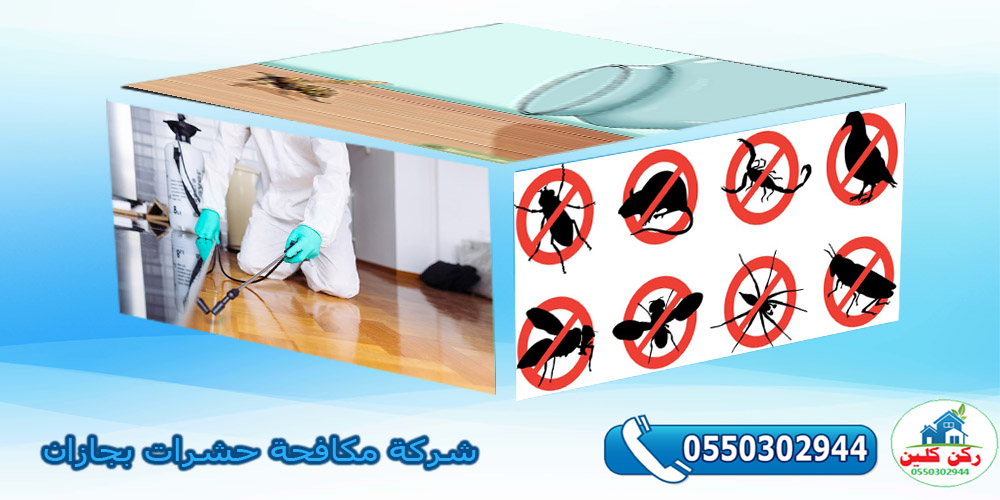 شركة مكافحة حشرات بجازان