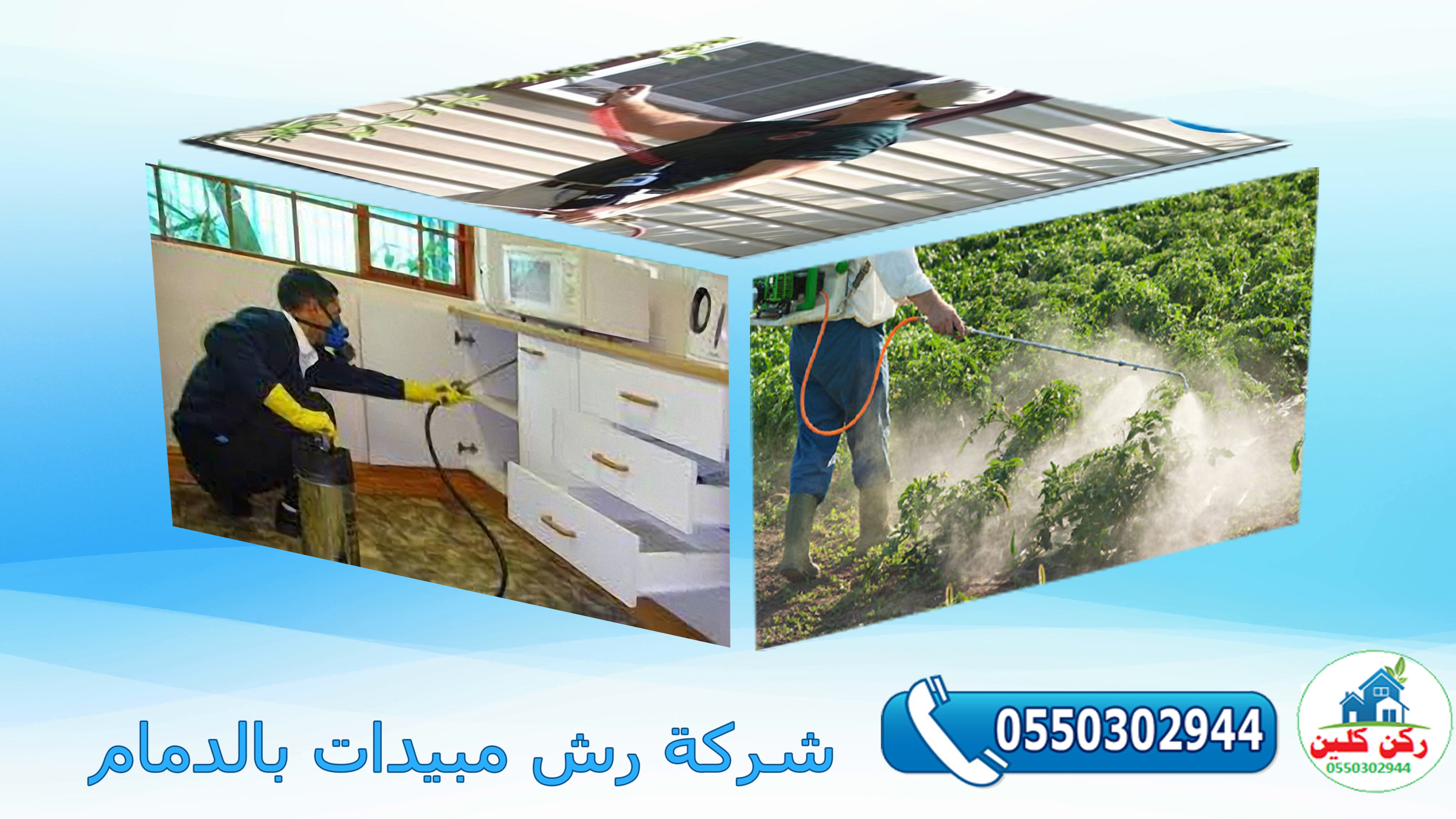 شركة رش مبيدات بالدمام
