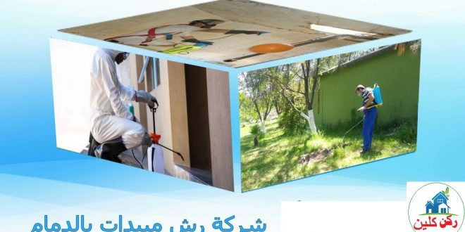 شركة رش مبيدات بالدمام