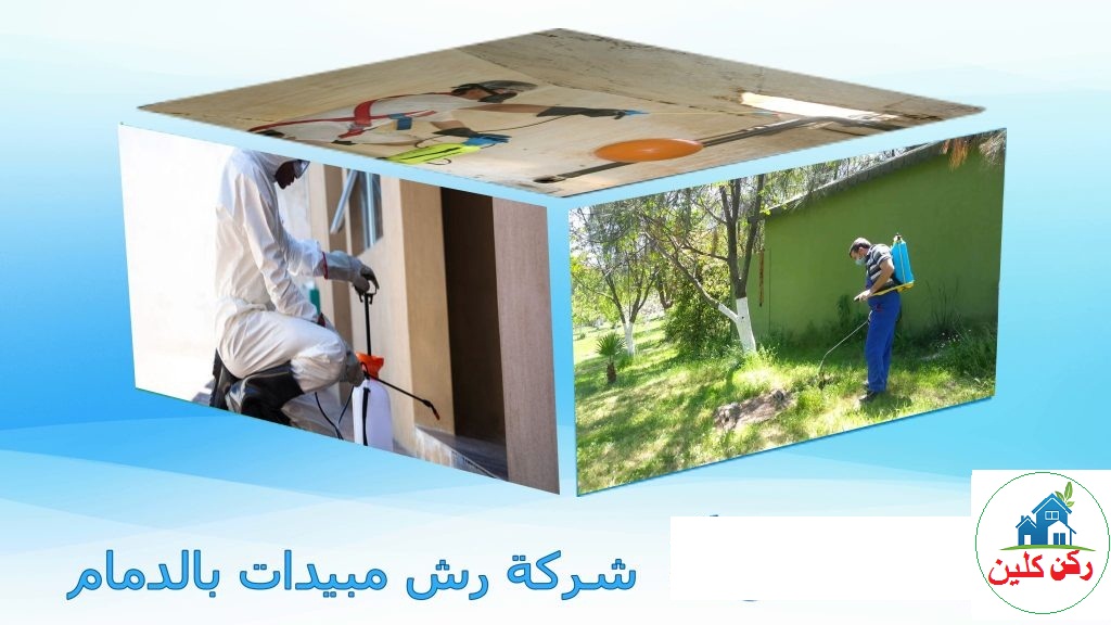 شركة رش مبيدات بالدمام