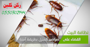 شركة مكافحة الصراصير بالرياض