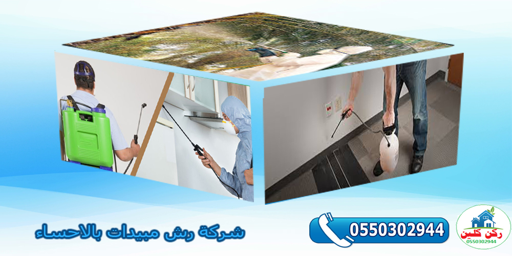شركة رش مبيدات بالاحساء