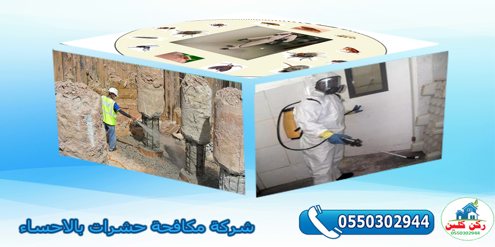 شركة مكافحة حشرات بالاحساء