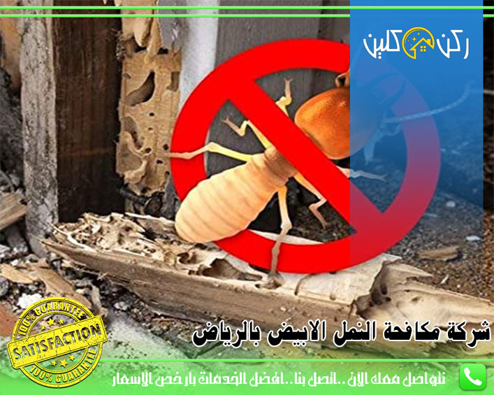 شركة مكافحة النمل الابيض بالرياض