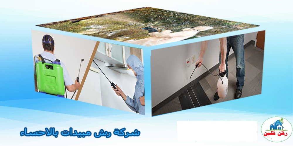 شركة رش مبيدات بالاحساء