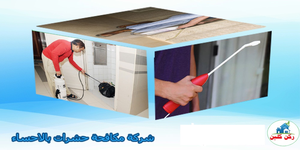 شركة مكافحة حشرات بالاحساء
