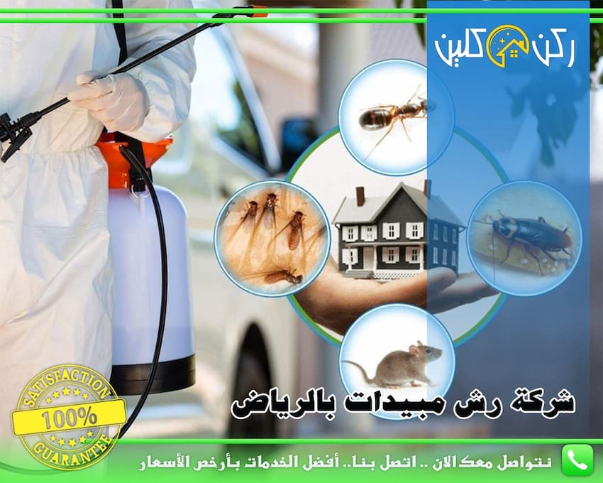 شركة رش المبيدات الرياض: كل ما تحتاج معرفته