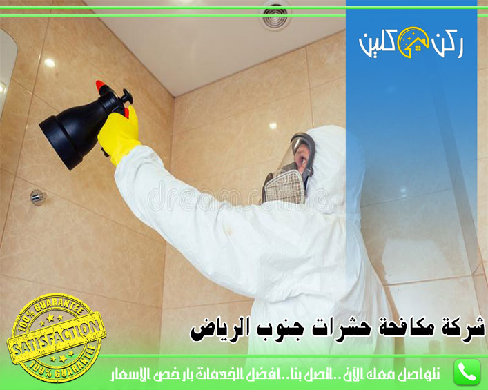 شركة مكافحة حشرات جنوب الرياض