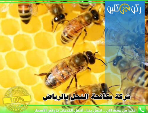 شركة مكافحة النحل بالرياض