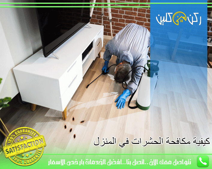 كيفية-مكافحة-الحشرات-في-المنزل