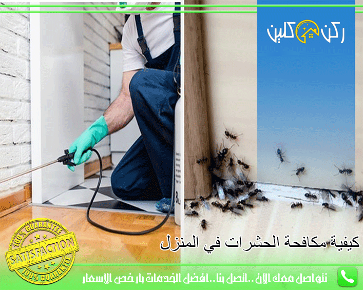 كيفية مكافحة الحشرات في المنزل