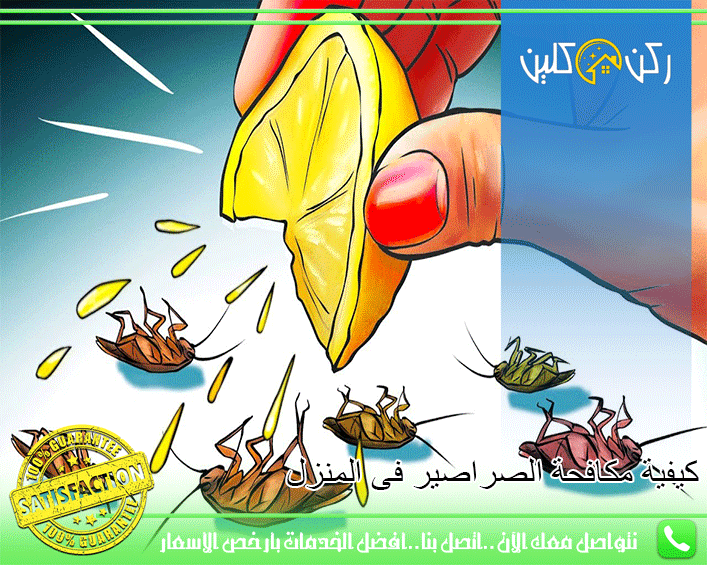 كيفية مكافحة الصراصير فى المنزل