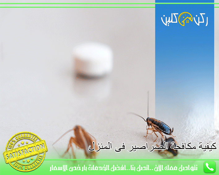 كيفية مكافحة الصراصير فى المنزل