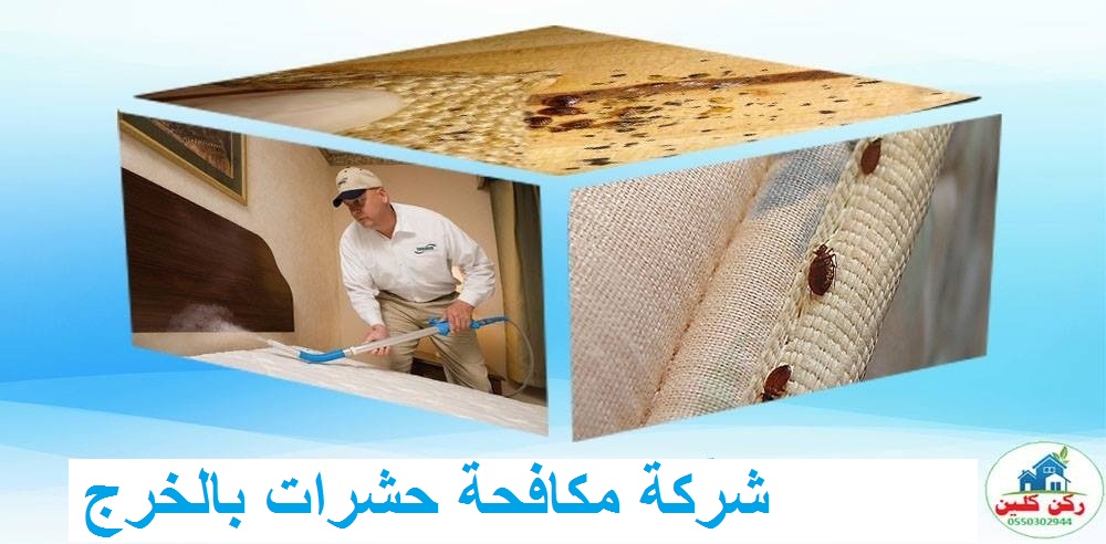 شركة مكافحة حشرات بالخرج