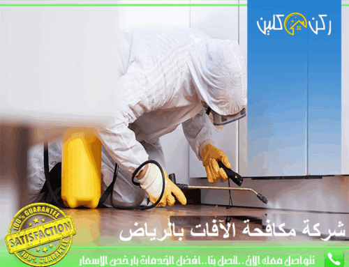 شركة مكافحة الآفات بالرياض